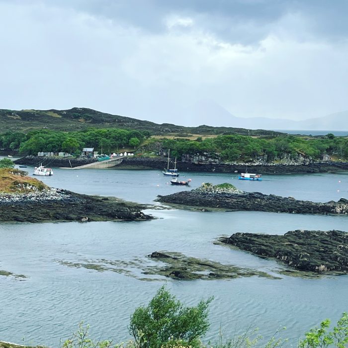 E612F912-15F8-49B0-919B-82B7BA6A1AB5