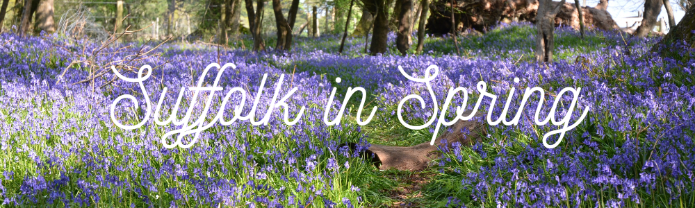 Suffolk In Spring