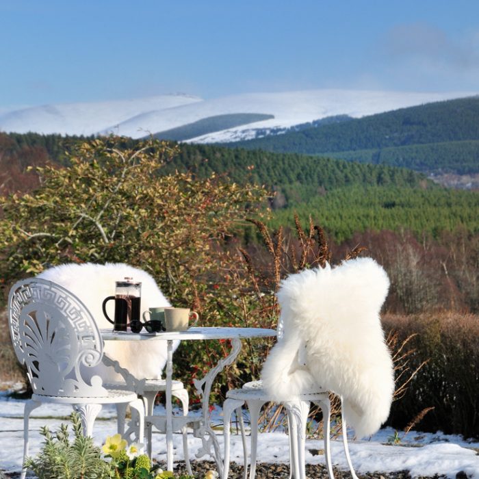 320570336_483979507213961_3594133373499373706_n