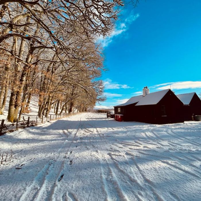 336907697_1261055604490980_5790775169658874134_n