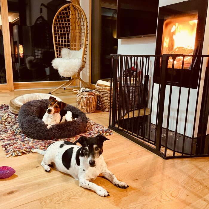 412868128_18008850890142523_1006467730147672675_n