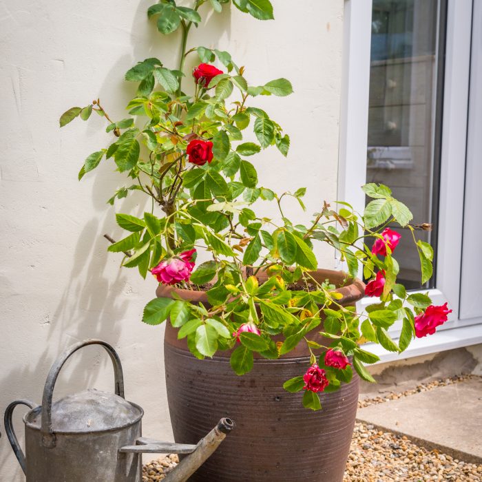 Heath Cottage, Horning, Norfolk