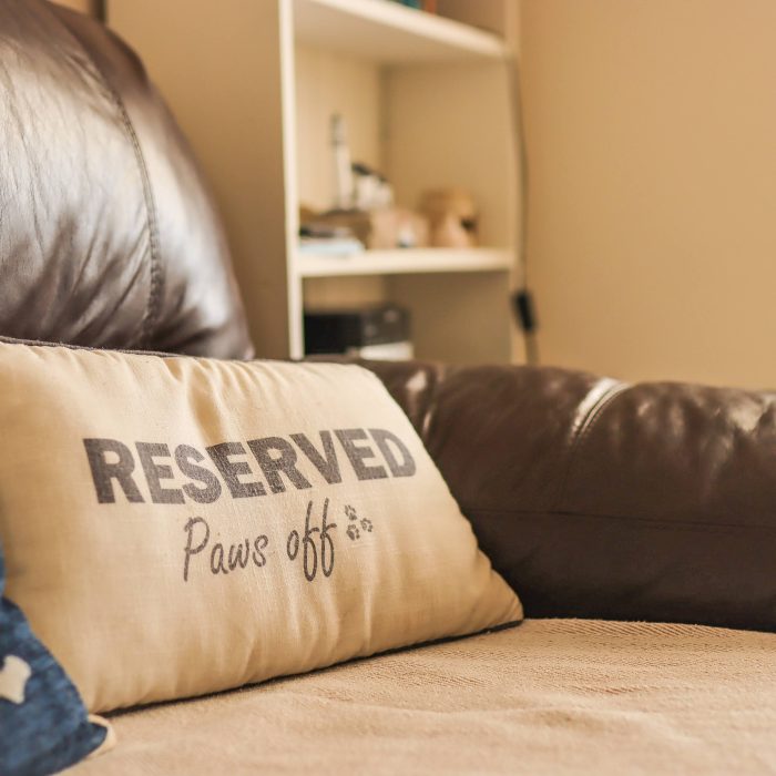 20240405131551_IMG_6361