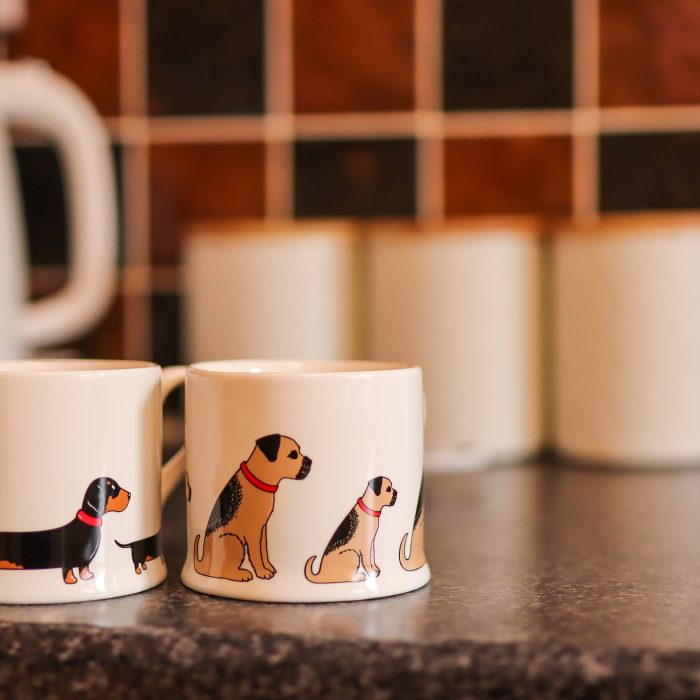 20240405132100_IMG_6401