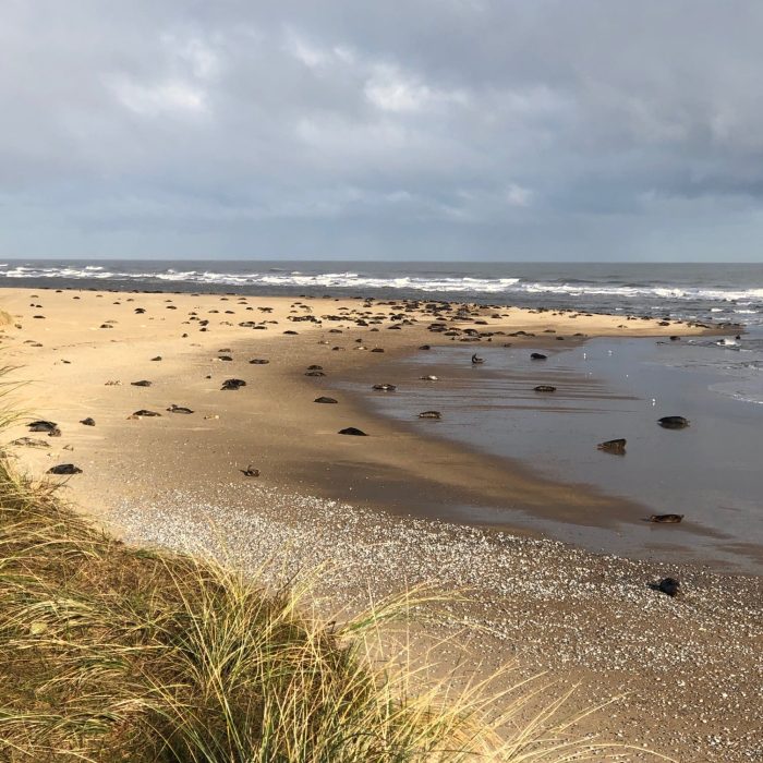 262503328_464110305062360_8486311347802093848_n