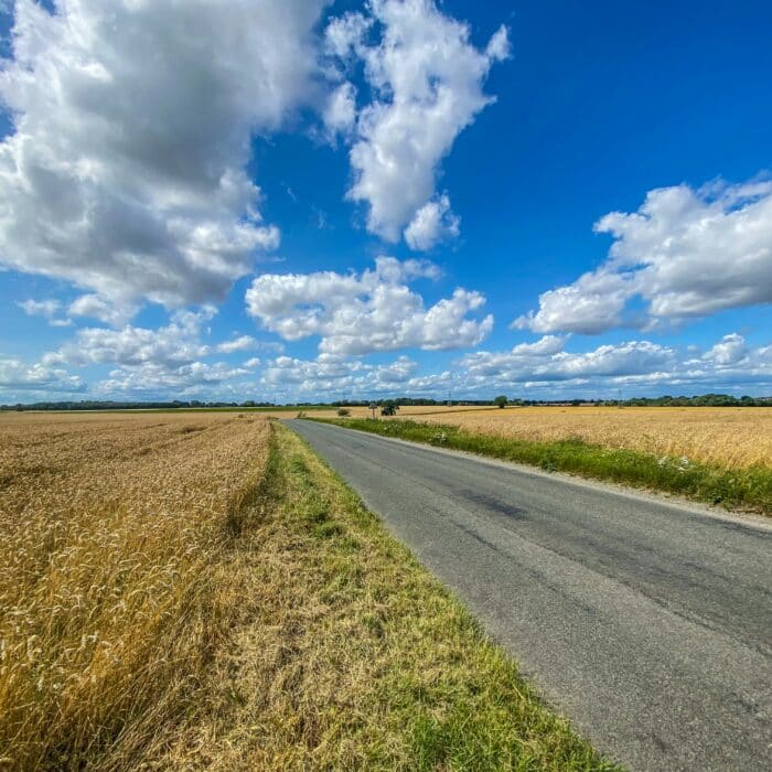 martin-hayes-xGGNLSlS-M8-unsplash