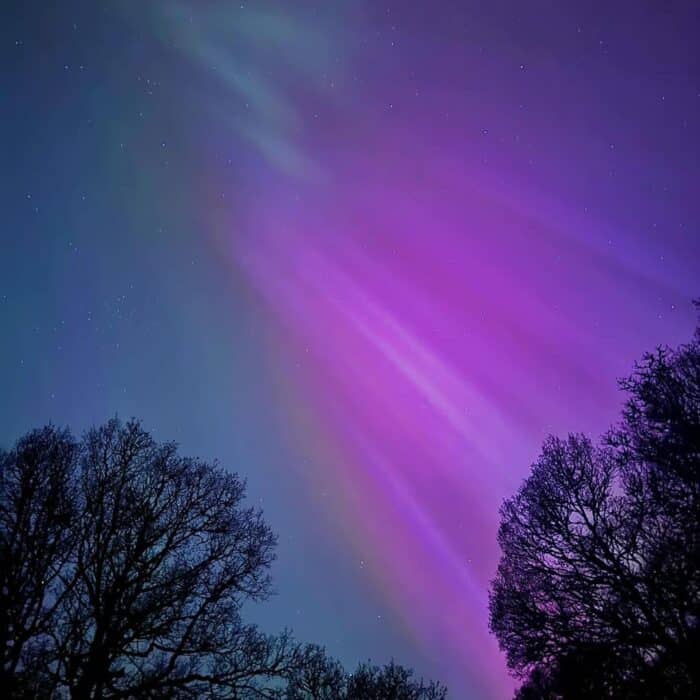 436187368_960842842708566_3179291192492115551_n copy