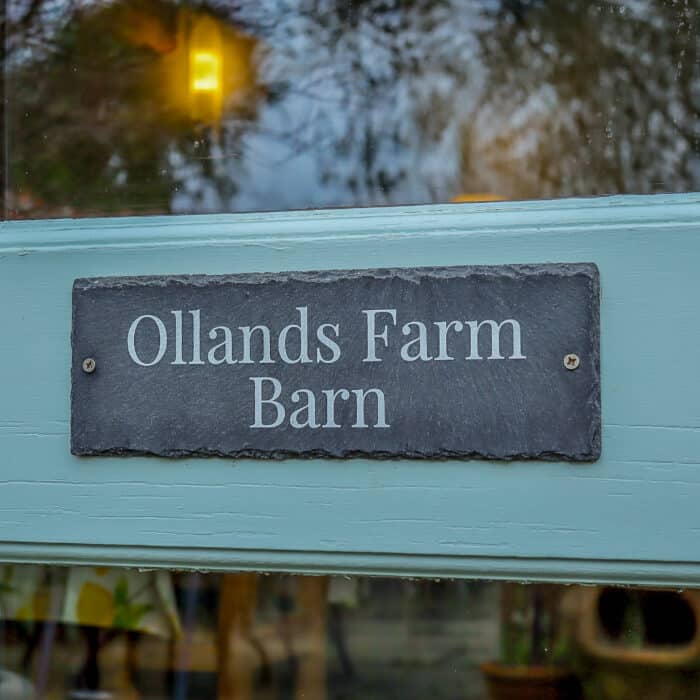 20240131143635_IMG_9764