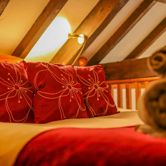 20240131145230_IMG_9846