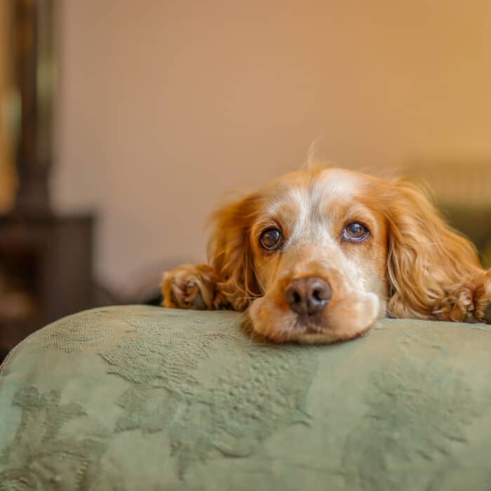 20240131151404_IMG_9964