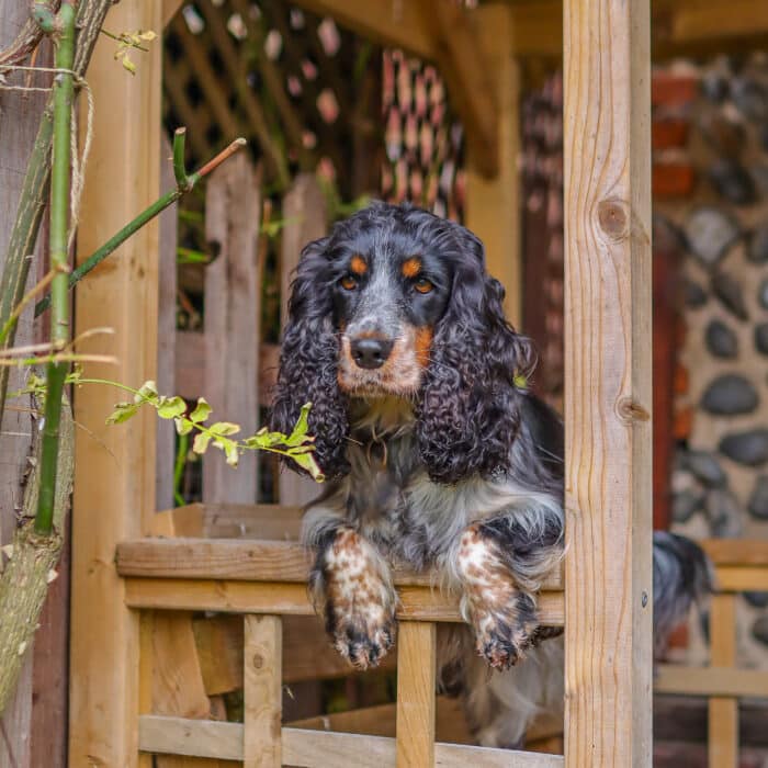 20240131152031_IMG_0004