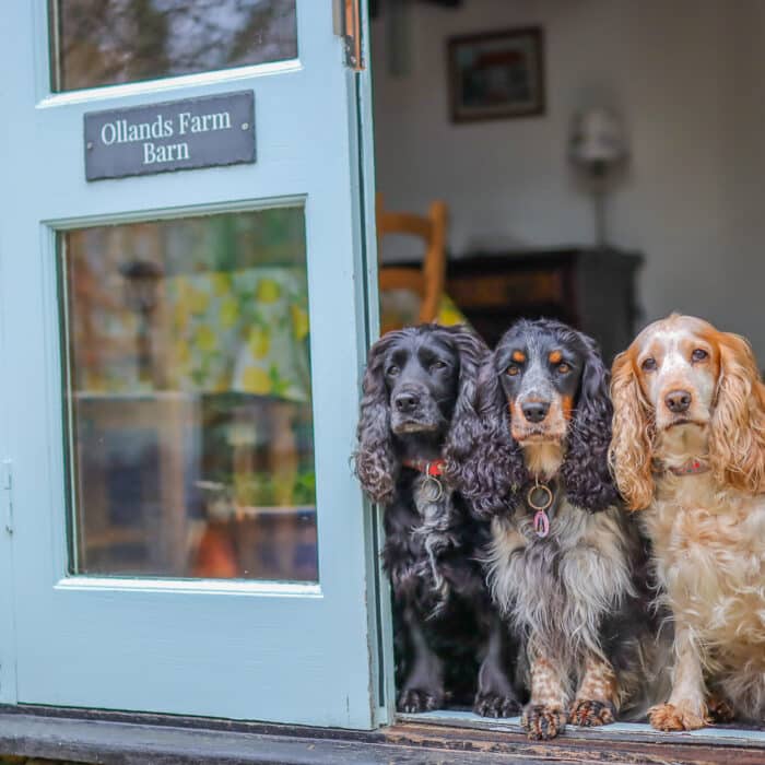 20240131152544_IMG_0028