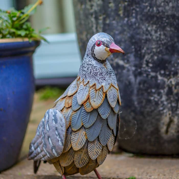 20240131152732_IMG_0047