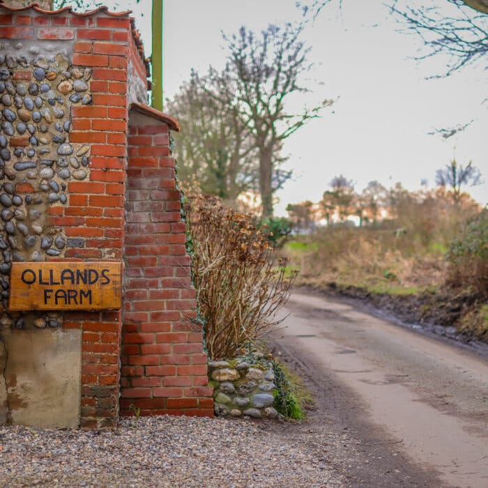 20240131153417_IMG_0080