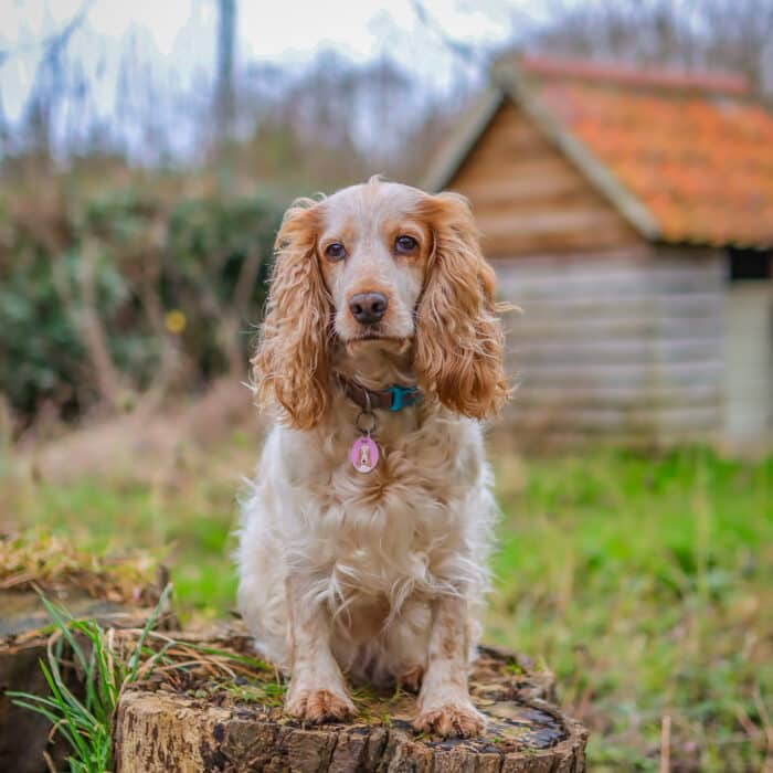 20240131153650_IMG_0085