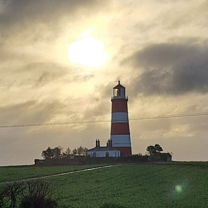 d463644e-010a-469b-8dc4-2725fcd38f5b