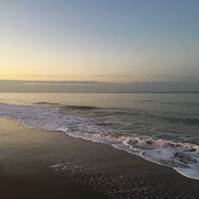 54f63712-44a6-4912-ad92-5663dee24264 copy