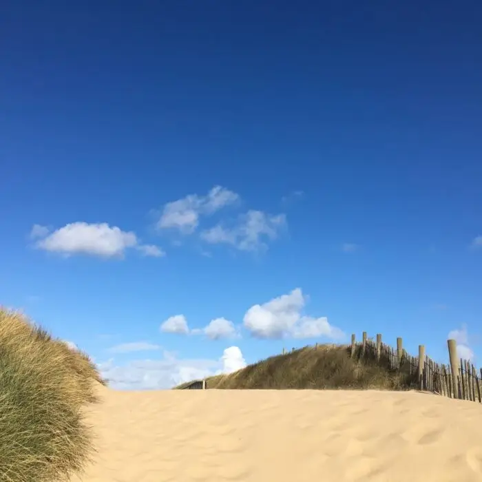 91ce1105-27d2-48ba-a5e1-74fd2aad6bb3 copy