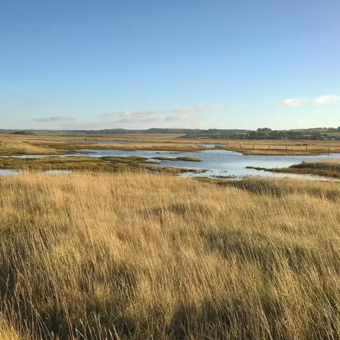 ecdaa654-fcc1-4053-98cf-f0083dabb131 copy