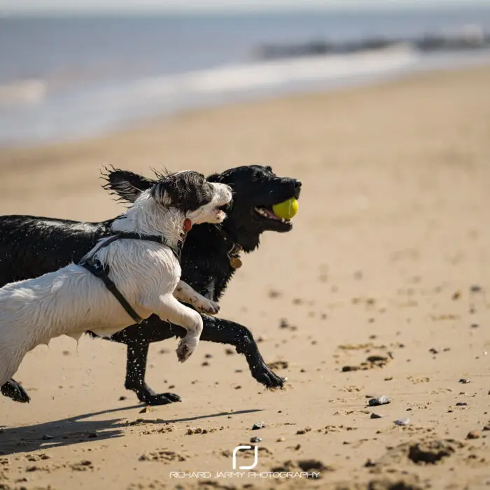 Richard Jarmy Photography - @richardjarmy