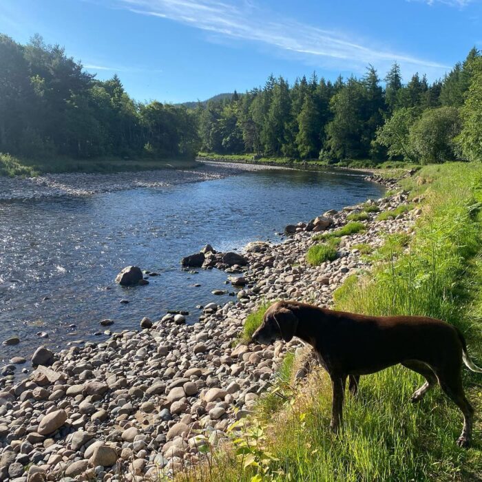 484941300_9531229066935350_16329328386295592_n