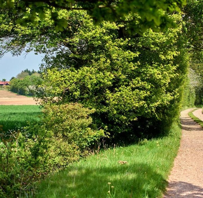 38453_33103435_IMG_14_0000