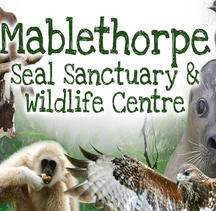 Mablethorpe Seal Sanctuary