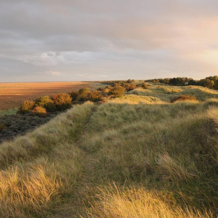 Theddlethorpe Dunes3
