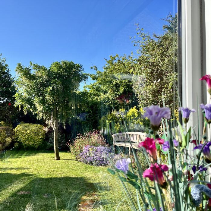 View from Conservatory