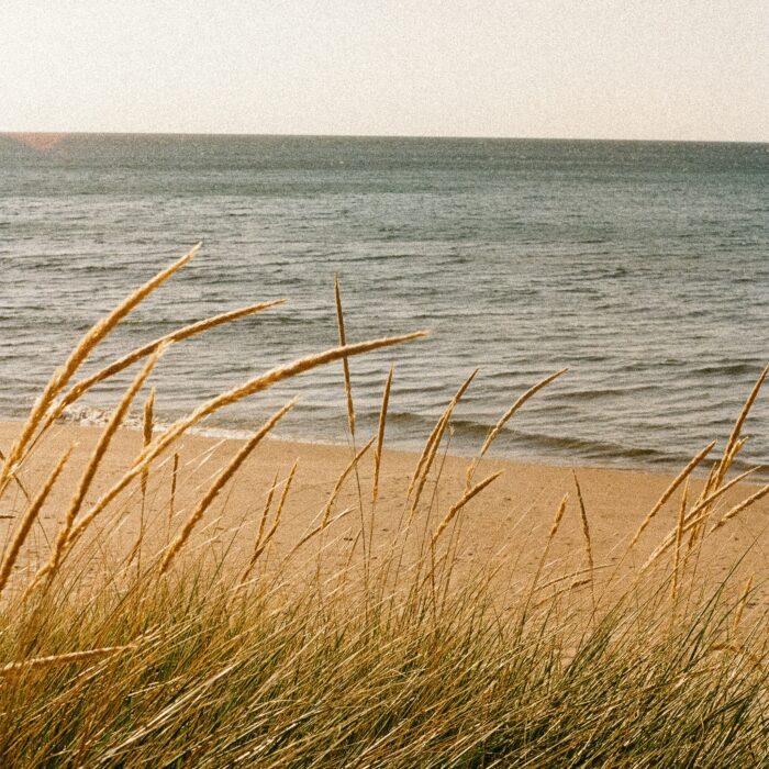 hans-LvzYqAiGdZY-unsplash