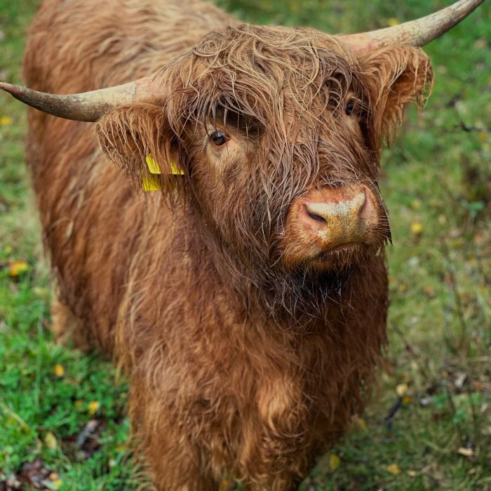 0CBD4921-BF70-4468-977A-FF8A5E2DA804