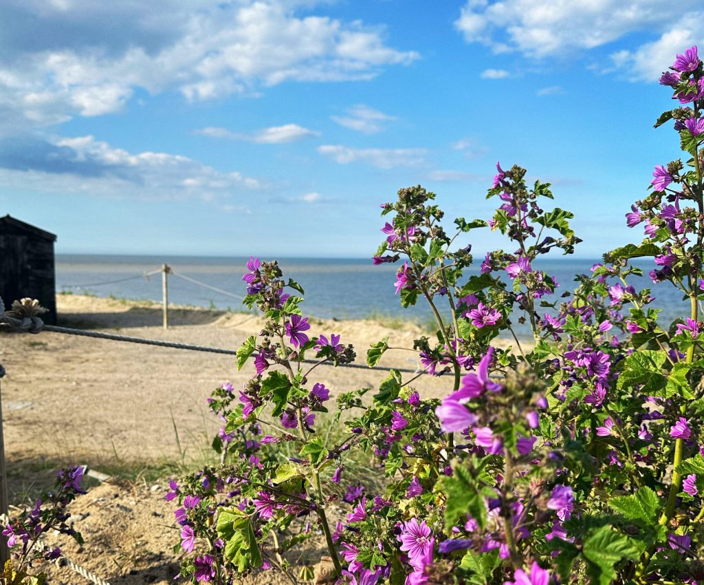 5FEAEC39-29BD-4BC0-B6C3-D2A693E0EFD8 2