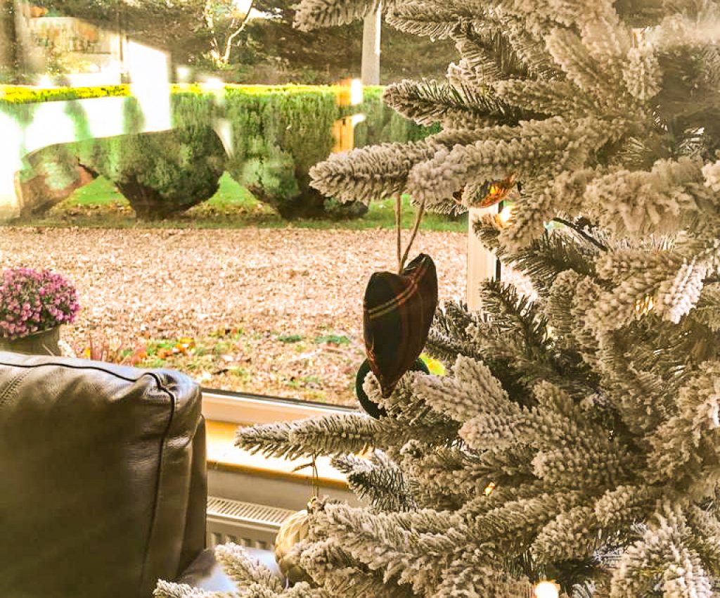 PHOTO-2022-11-23-11-44-07 copy