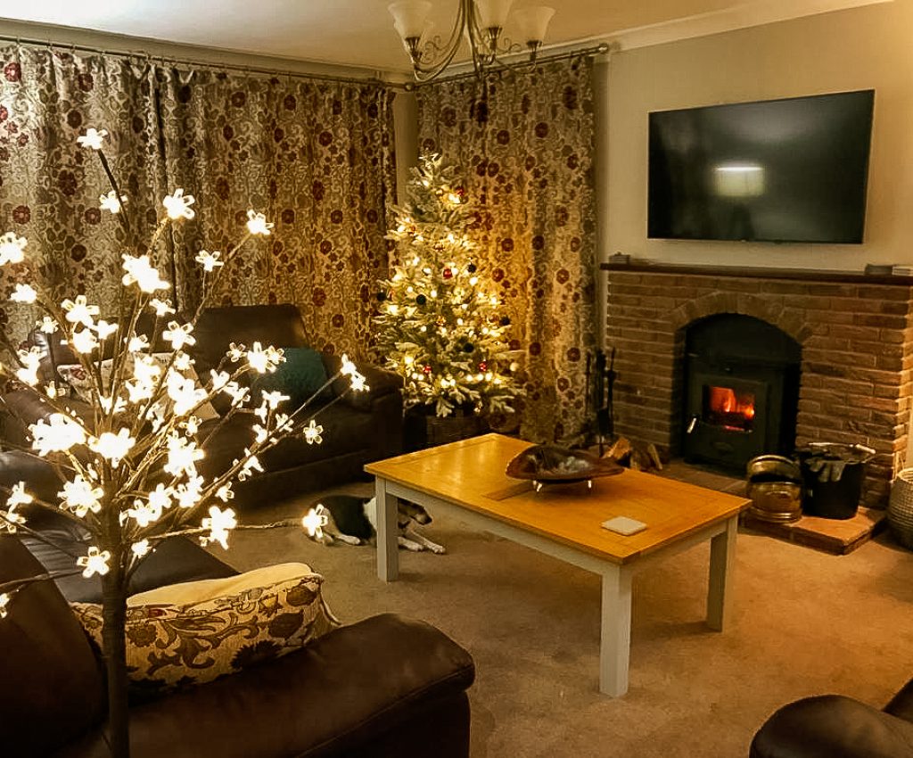 PHOTO-2022-11-23-11-44-07